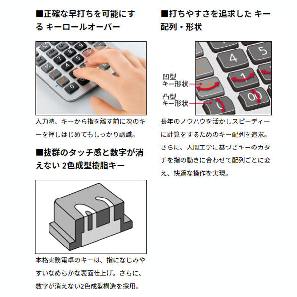 CASIO 実務電卓 (検算)デスクタイプ カシオ計算機 DS-20WKA-N 【取り寄せ品】