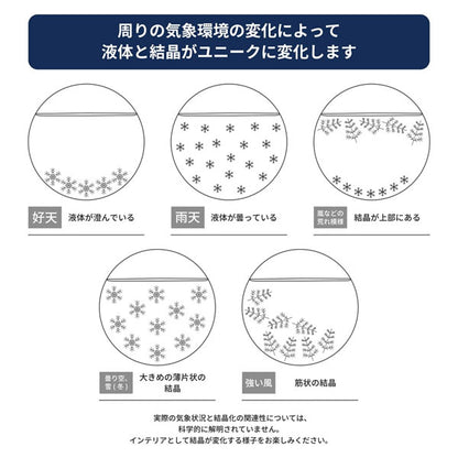 (1/14園田)《Fun Science》ストームグラス ドーム 富士山 茶谷産業 333414