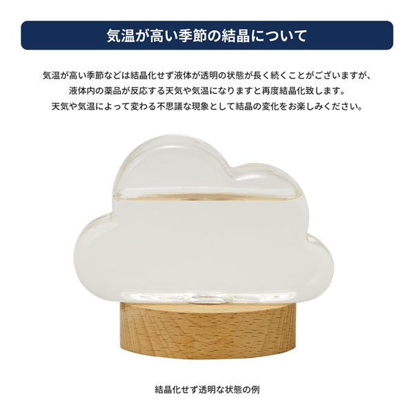 (1/9園田)《Fun Science》ストームグラス クラウド (オーバルスタンド) 茶谷産業 333400