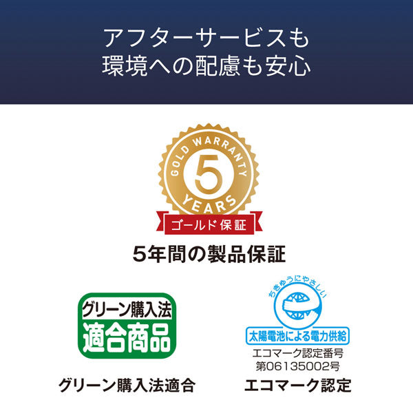 CASIO 実務電卓 （検算）デスクタイプ  カシオ計算機 DS-20WKA-N　【取り寄せ品】