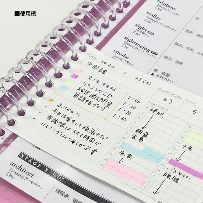 ルーズリーフ タイムプランニング ミニ /50枚 タイムプランニング(表面)/5mm方眼罫(裏面) 　maruman　L1438