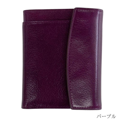ASHFORD イシュー《Issue》ウォレットジャケット MICRO5サイズ［2417］全4色 ダブルリング リングサイズ11＆8mm フラップ アシュフォード【送料無料※】
