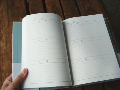 3年日記《日付表示なし》Ａ５サイズ　横書　アピカ　D309
