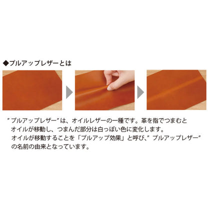 *12/17原田*アンティコルド≪ANTIQOLD≫ ペンケースF［全2色］ パイロット AQPSF-01F [M便 1/6]