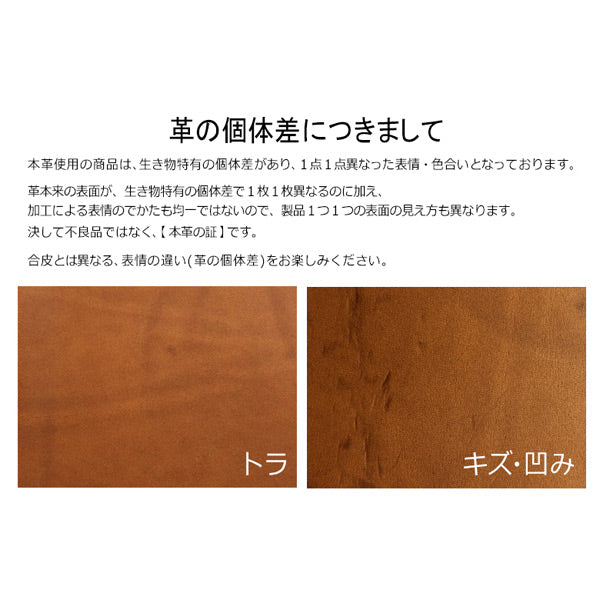 5012 Liscio《リスシオ》 6穴リングレザーバインダー 11mm径リング バイブルサイズ シルバーリング [全4色] PLOTTER/プロッター 777-168-13/14/15/16 【送料無料*】