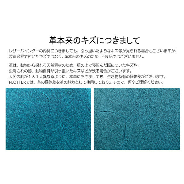 5012 Liscio《リスシオ》 6穴リングレザーバインダー 11mm径リング バイブルサイズ シルバーリング [全4色] PLOTTER/プロッター 777-168-13/14/15/16 【送料無料*】