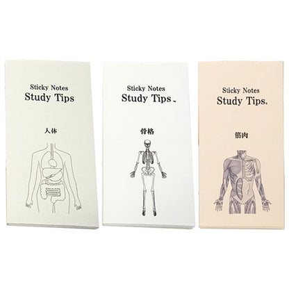 Sticky Note Study Tips【からだ】全3種 松浦紙器製作所 FS-SST003/6/8 [M便 1/6]
