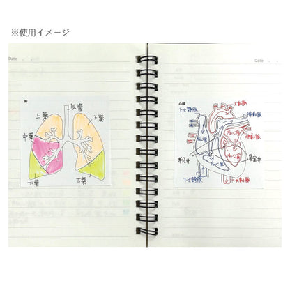 Sticky Note Study Tips【からだ】全3種 松浦紙器製作所 FS-SST003/6/8 [M便 1/6]