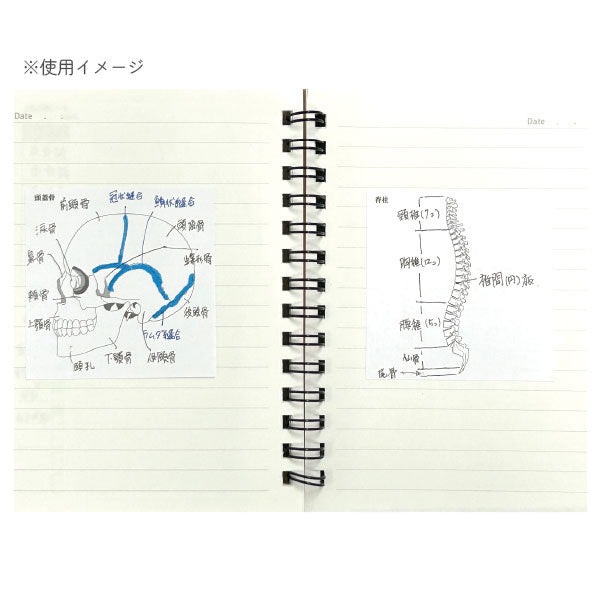 Sticky Note Study Tips【からだ】全3種 松浦紙器製作所 FS-SST003/6/8 [M便 1/6]