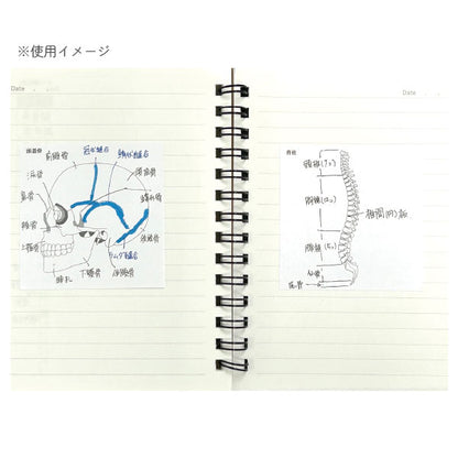 Sticky Note Study Tips【からだ】全3種 松浦紙器製作所 FS-SST003/6/8 [M便 1/6]