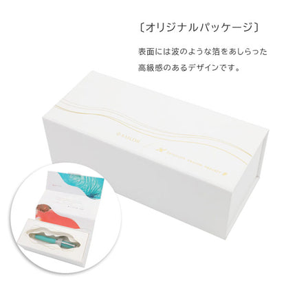 海の万年筆 [全2色] 中細(MF)/中字(M) 21金 大型 化粧箱入り セーラー万年筆 10-209*-【送料無料*】