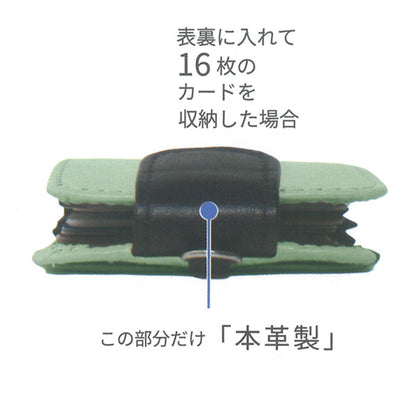 カードホルダー（アコーディオン式）色語《いろがたり》シリーズ [全4色] 8仕切り コレクト CP-608V [M便 1/10]