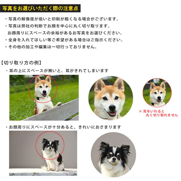 【写真・名入れ可能】犬のケース オリジナル 桐箱 [丸型] [M便 1/20]