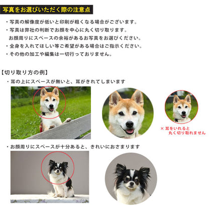 【写真・名入れ可能】犬のケース オリジナル 桐箱 [丸型] [M便 1/20]